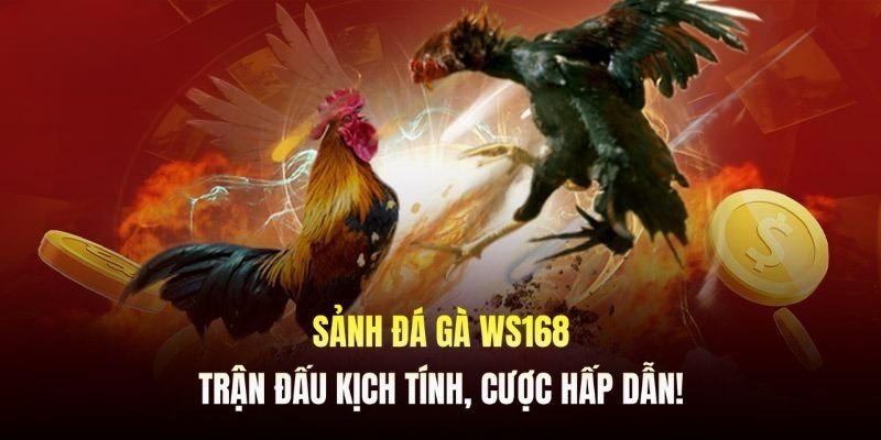 Hướng dẫn cách thức tham gia nền tảng WS168