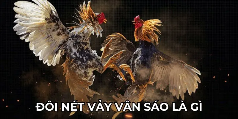 Đôi nét vảy vân sáo là gì